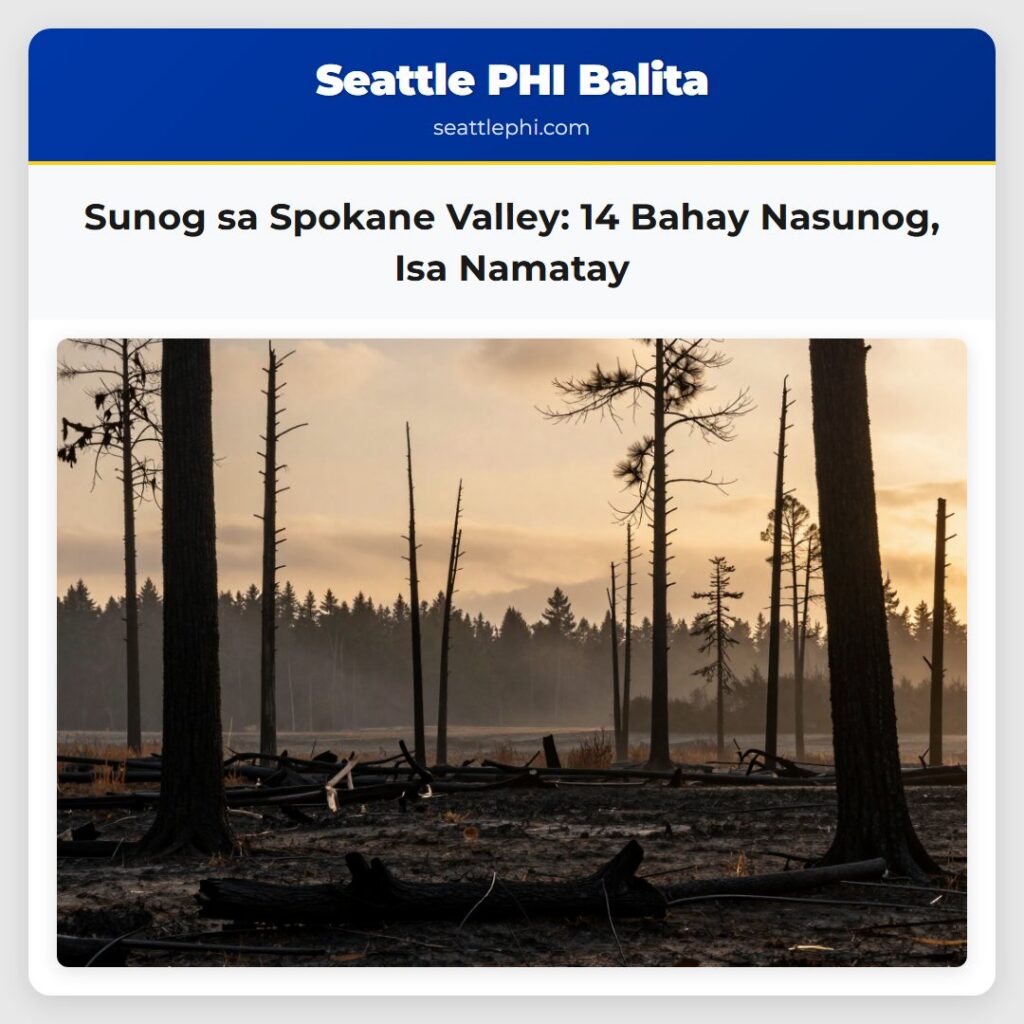 Sunog sa Spokane Valley: 14 Bahay Nasunog, Isa
