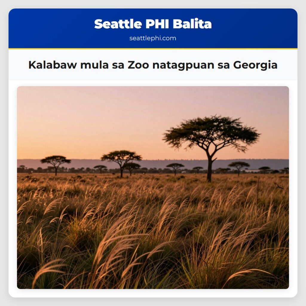 Kalabaw mula sa Zoo natagpuan sa Georgia