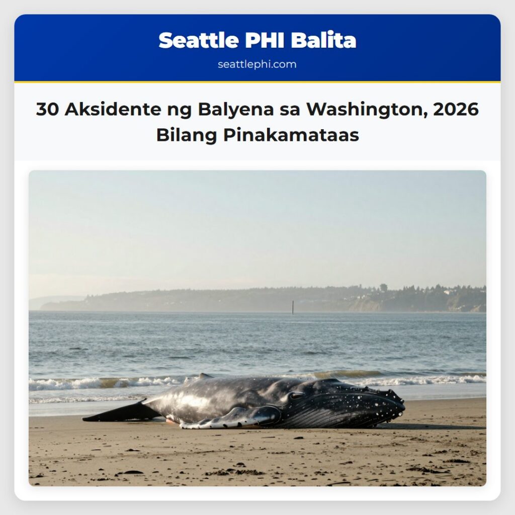 30 Aksidente ng Balyena sa Washington, 2026