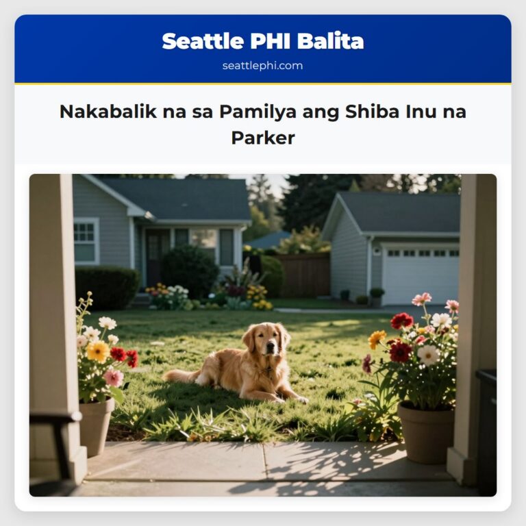 Nakabalik na sa Pamilya ang Shiba Inu na Parker