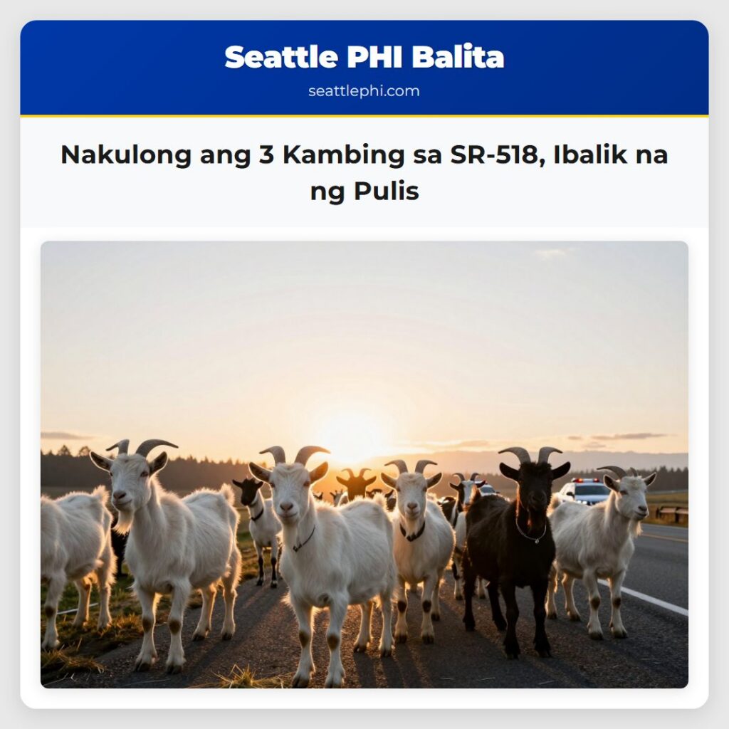 Nakulong ang 3 Kambing sa SR-518, Ibalik na ng