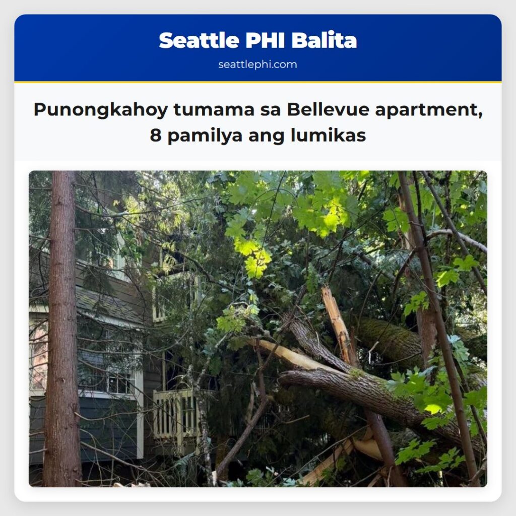 Punongkahoy tumama sa Bellevue apartment, 8
