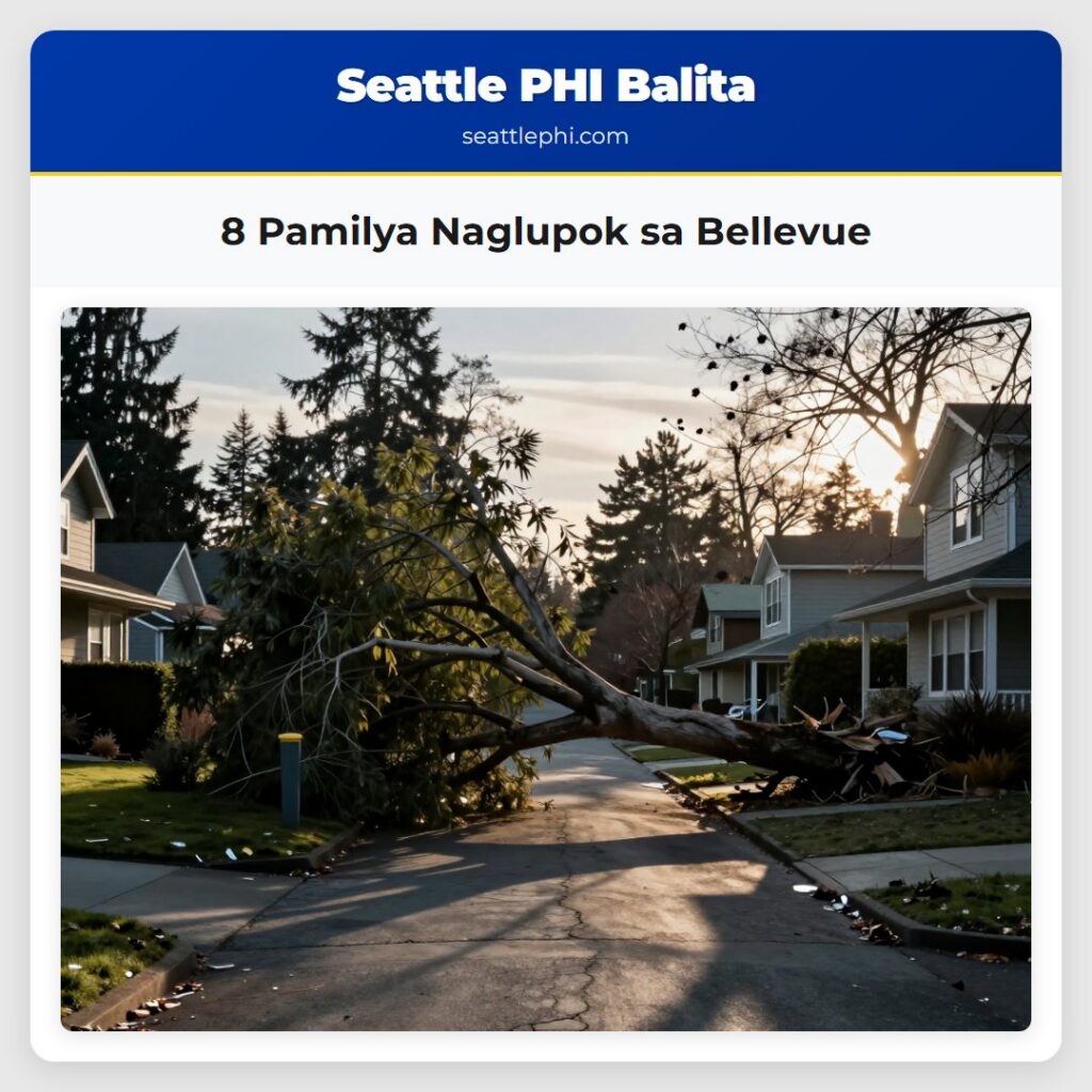 8 Pamilya Naglupok sa Bellevue