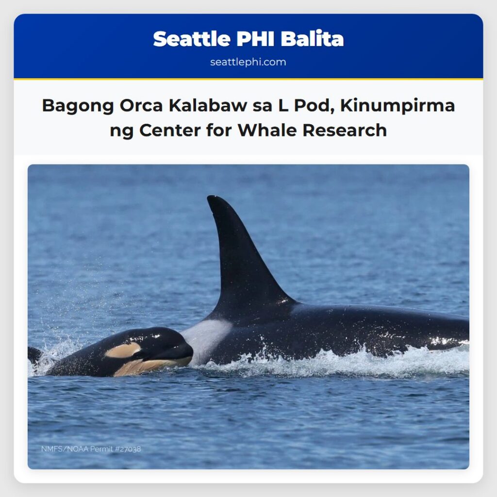 Bagong Orca Kalabaw sa L Pod, Kinumpirma ng