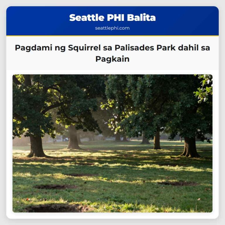 Pagdami ng Squirrel sa Palisades Park dahil sa Pagkain