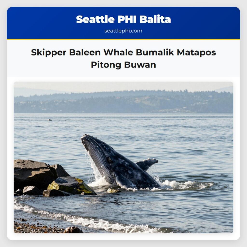 Skipper Baleen Whale Bumalik Matapos Pitong Buwan