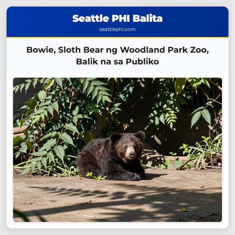 Bowie Sloth Bear ng Woodland Park Zoo Balik na sa Publiko