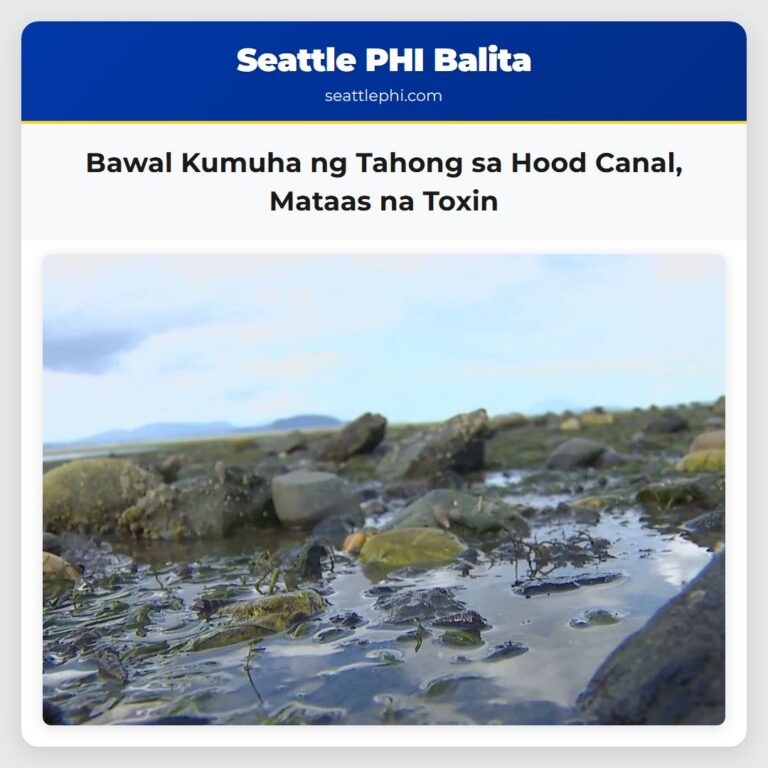 Bawal Kumuha ng Tahong sa Hood Canal Mataas na Toxin