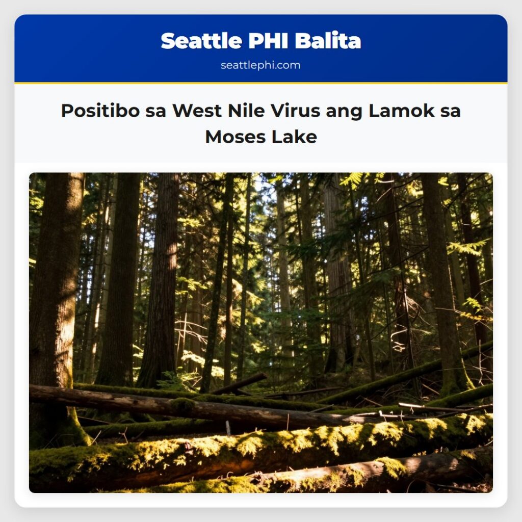 Positibo sa West Nile Virus ang Lamok sa Moses