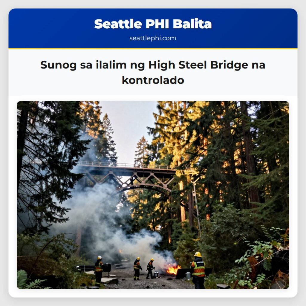 Sunog sa ilalim ng High Steel Bridge na kontrolado