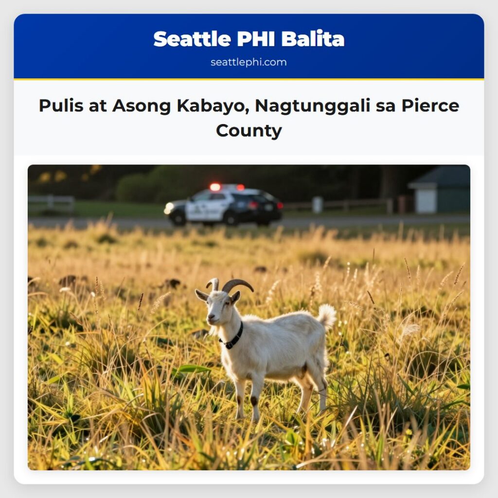 Pulis at Asong Kabayo, Nagtunggali sa Pierce